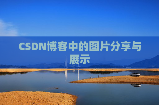 CSDN博客中的图片分享与展示